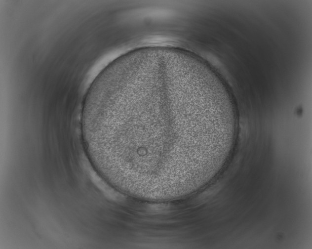 X0000116601421200912312047