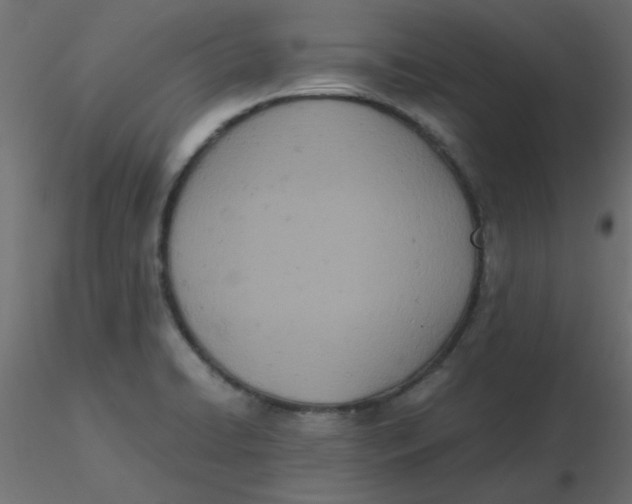 X0000116601422200912312047