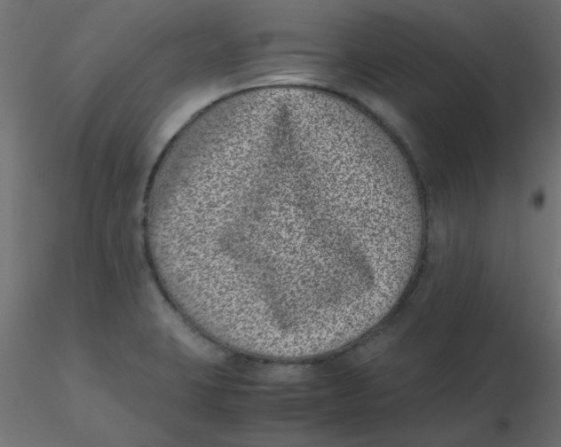 X0000116601423200912312047