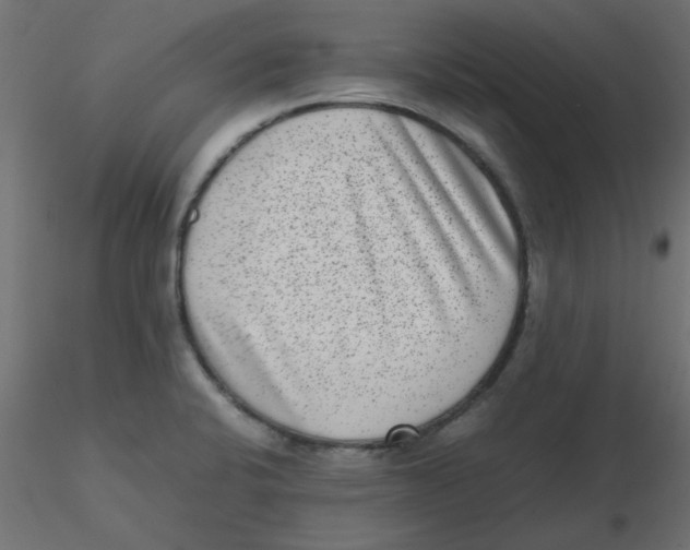 X0000116601424200912312047