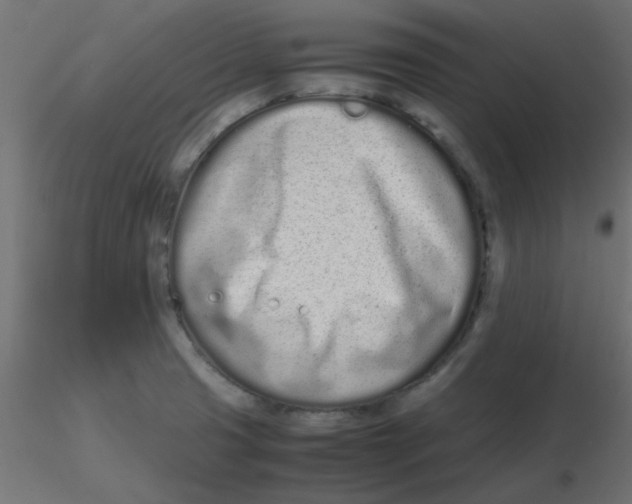 X0000116601425200912312047