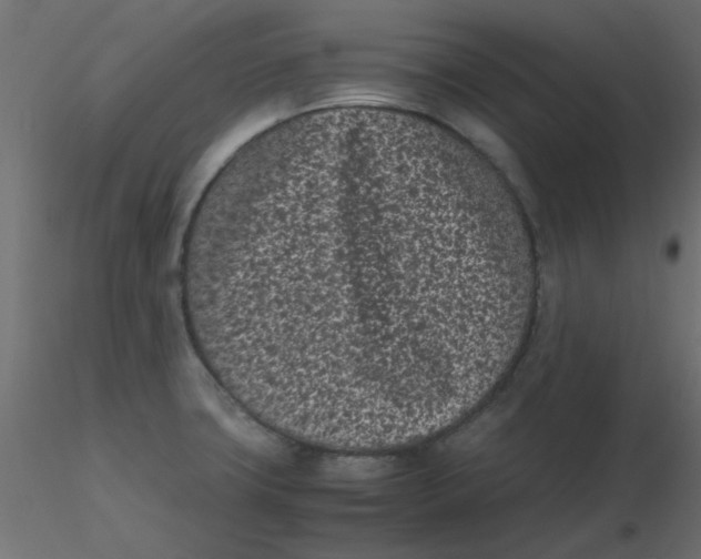 X0000116601427200912312047