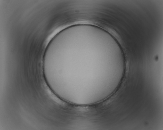 X0000116601428200912312047