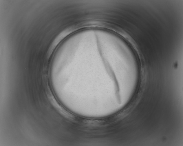 X0000116601429200912312047