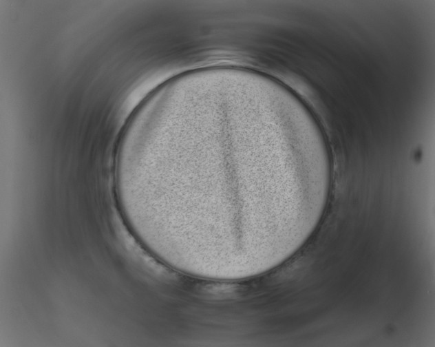 X0000116601431200912312048