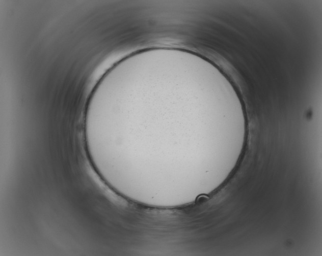 X0000116601432200912312048