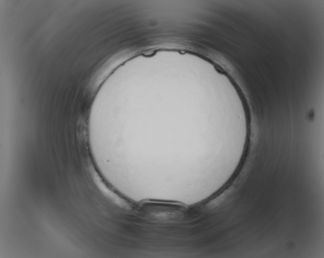 X0000116601433200912312048