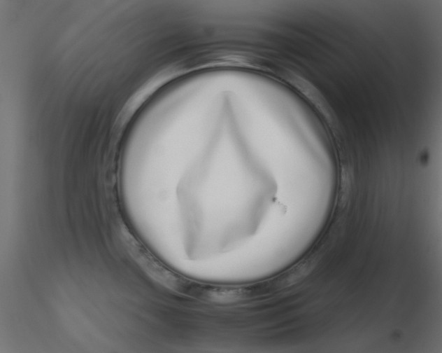 X0000116601435200912312048