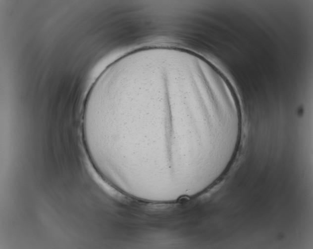 X0000116601437200912312048