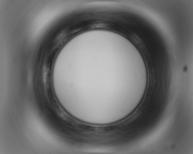 X0000116601438200912312048