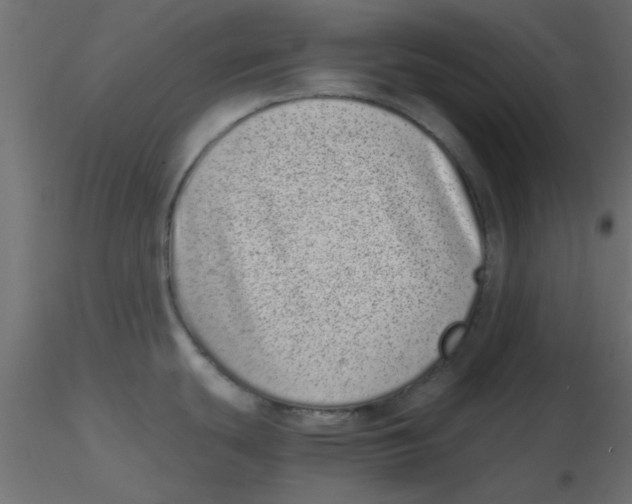 X0000116601439200912312048