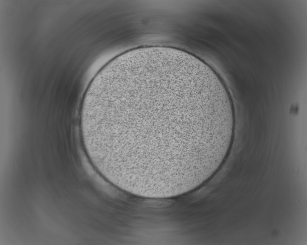 X0000116601440200912312048