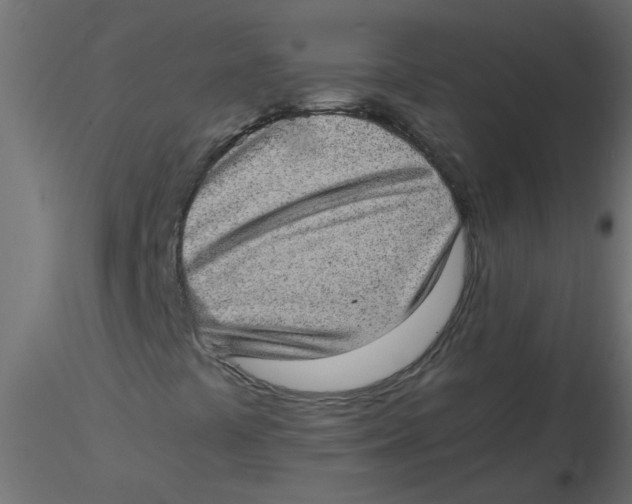 X0000116601441200912312047