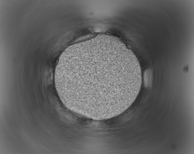 X0000116601443200912312047