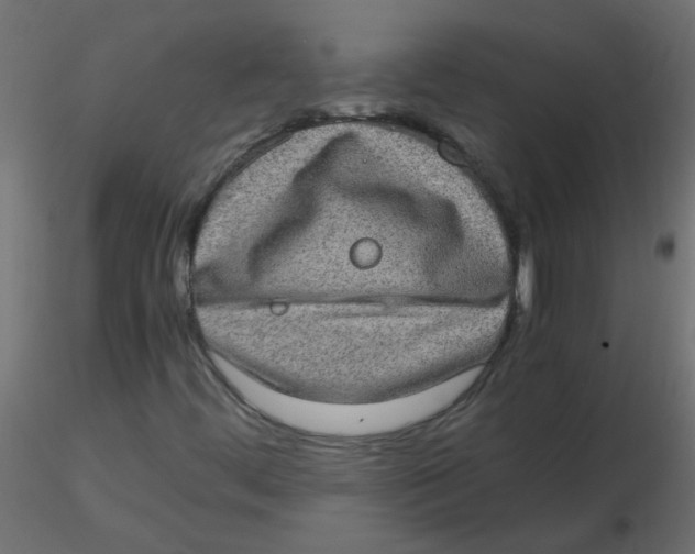 X0000116601444200912312047