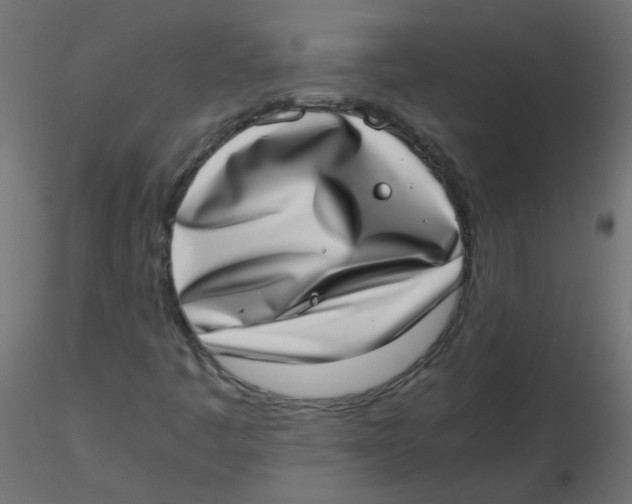 X0000116601445200912312047