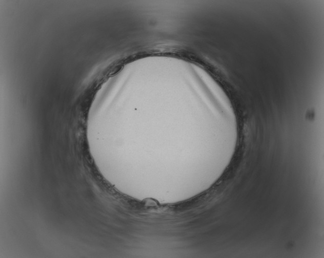 X0000116601447200912312047