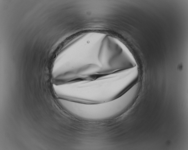 X0000116601449200912312047