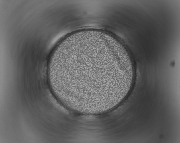 X0000116601450200912312047