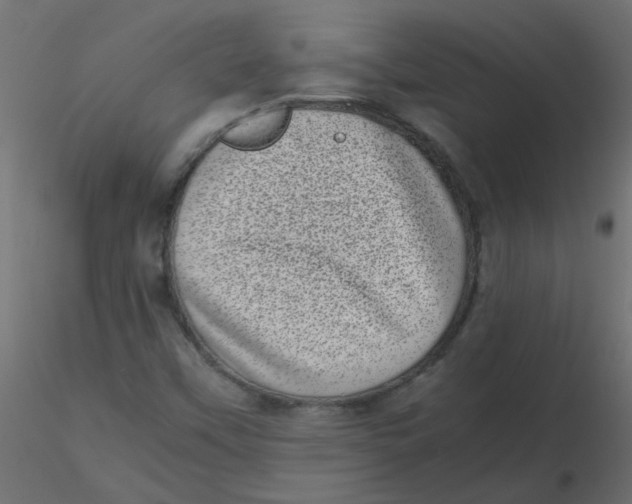 X0000116601451200912312047