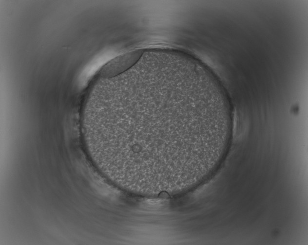 X0000116601453200912312047