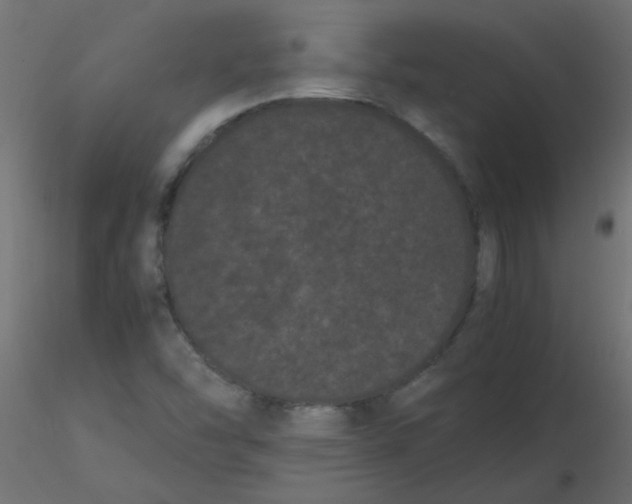 X0000116601454200912312047