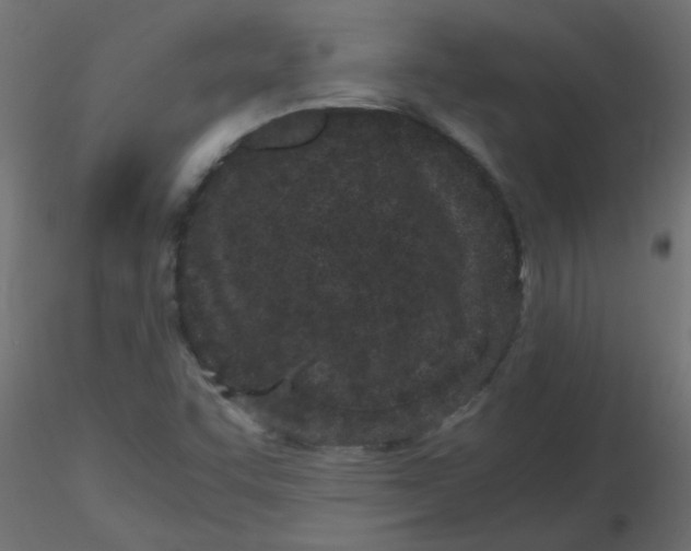 X0000116601455200912312047