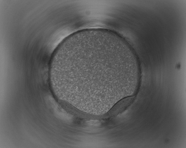 X0000116601457200912312047