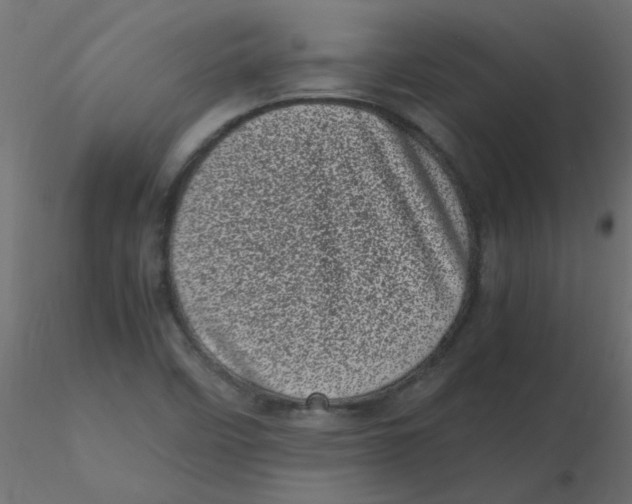 X0000116601458200912312047