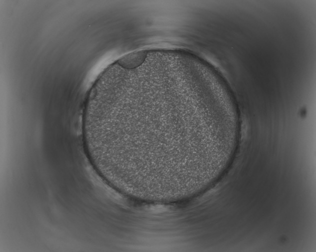 X0000116601459200912312047