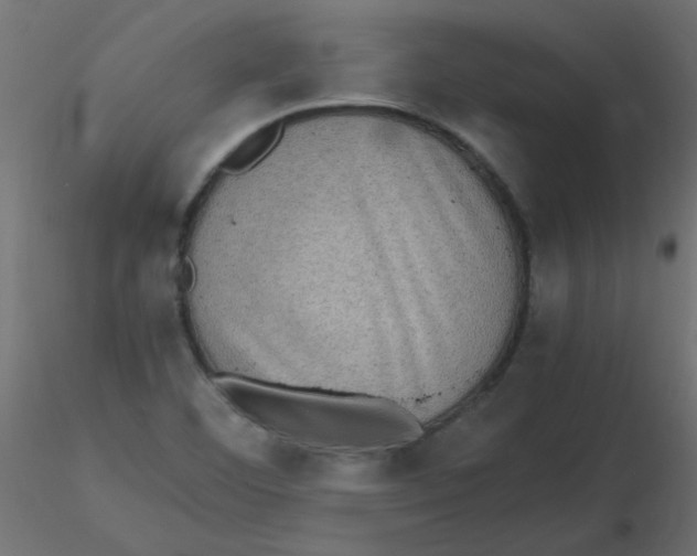 X0000116601460200912312047