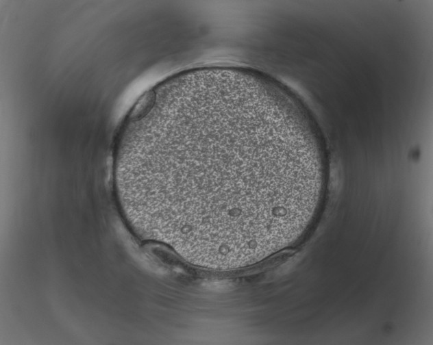 X0000116601461200912312047