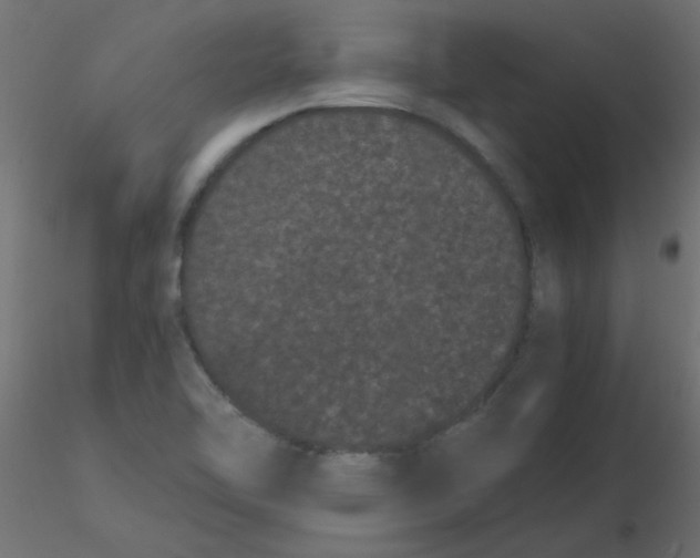 X0000116601462200912312047