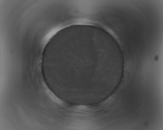 X0000116601463200912312047