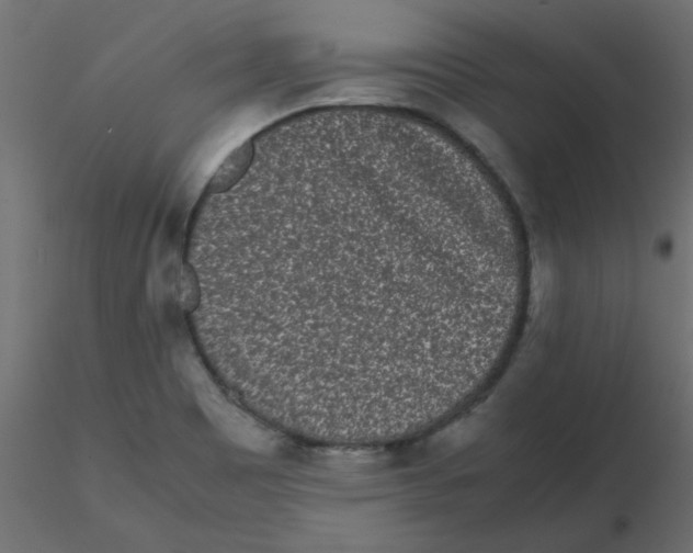 X0000116601465200912312047