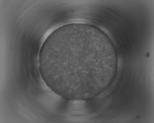 X0000116601466200912312047