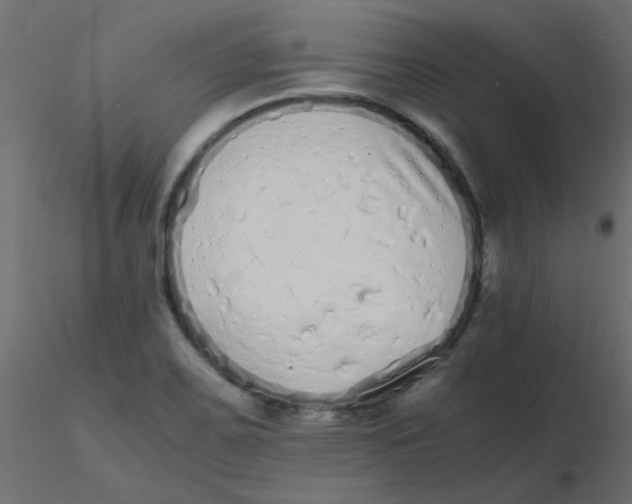 X0000116601467200912312047