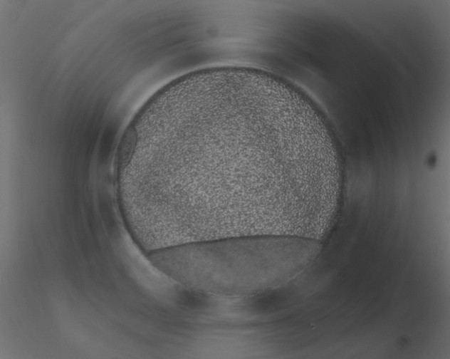 X0000116601468200912312047