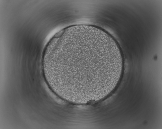 X0000116601469200912312047