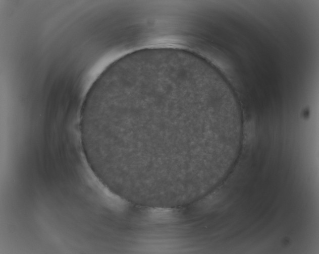 X0000116601470200912312047