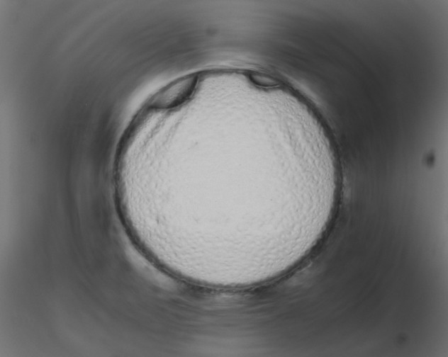 X0000116601471200912312047