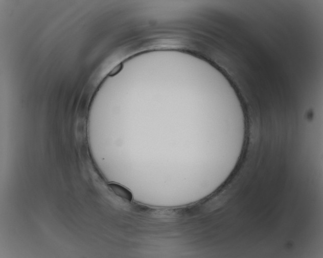 X0000116601473200912312047