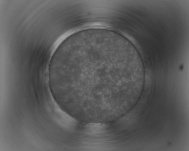 X0000116601474200912312047