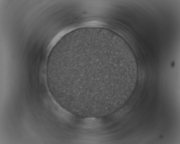 X0000116601478200912312046