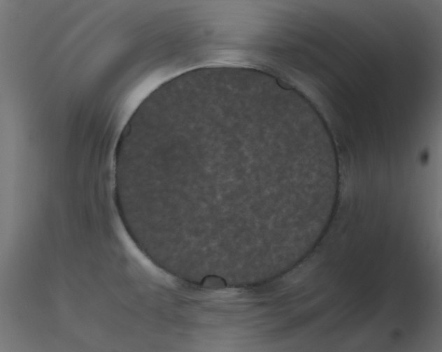 X0000116601479200912312046