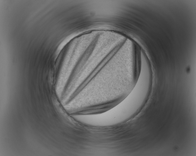 X0000116601481200912312046