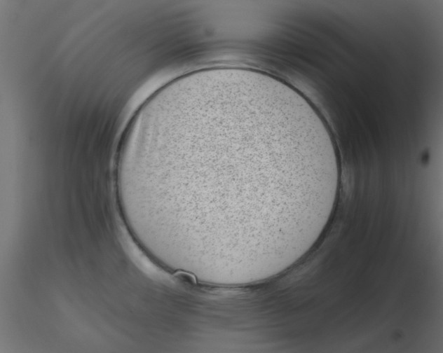 X0000116601482200912312046