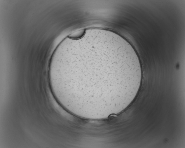 X0000116601483200912312046