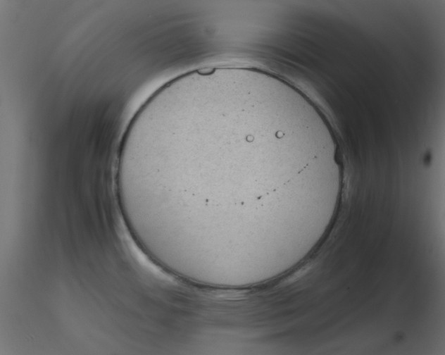 X0000116601484200912312046