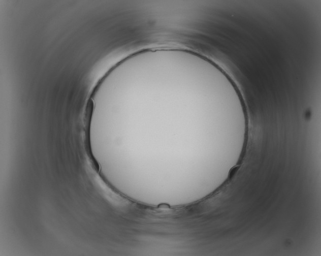 X0000116601485200912312046